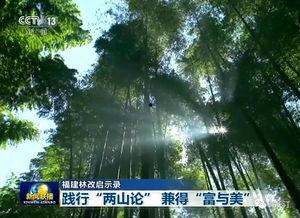 长汀新闻爆料,揭秘当地重大事件背后真相  第1张 长汀新闻爆料,揭秘当地重大事件背后真相  第1张