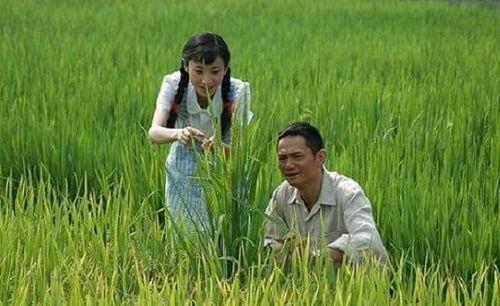 袁隆平下田爆料视频大全,揭秘农业科技发展背后的故事  第2张